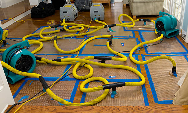 Professional Water Damage Restoration technician working in Bedford, NH